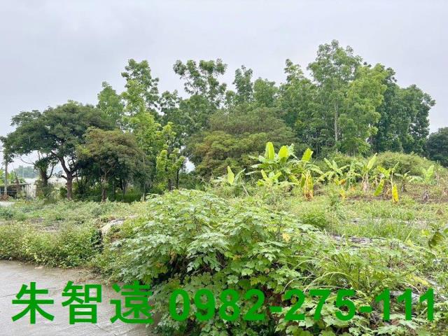 台南南化農地-5