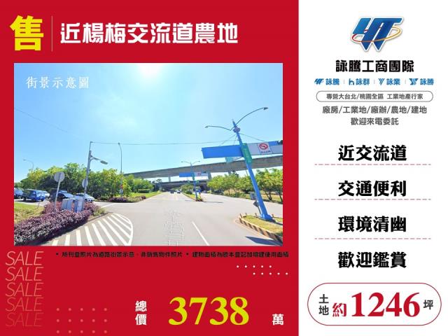 大溪復興路農地