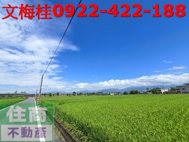 宜蘭壯圍農地-1