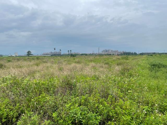 嘉義朴子農地-3