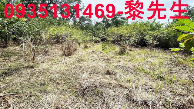 香山農地-9