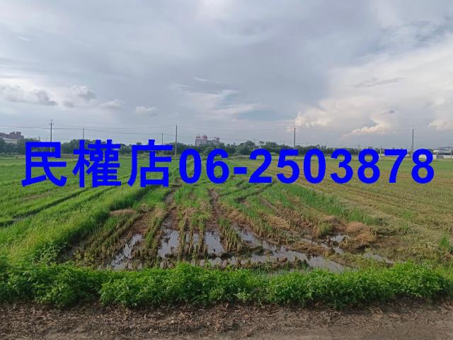 柳營農地-4