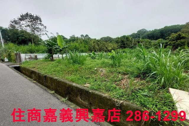 嘉義農地-2