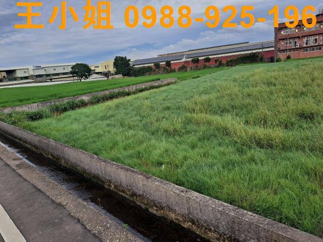 桃園中壢農地-5