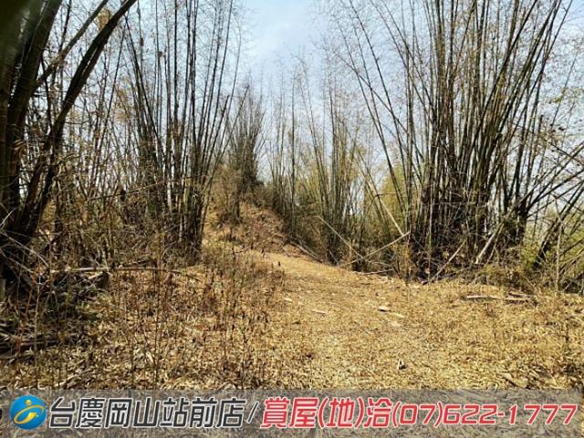 田寮農地-2