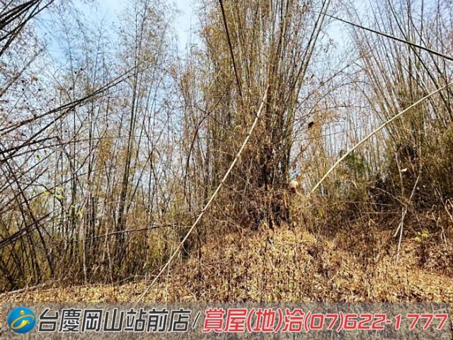 田寮農地-3