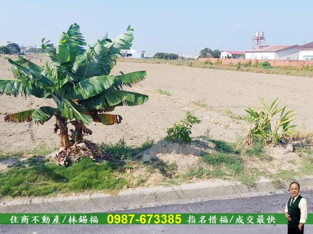 台南永康農地-12