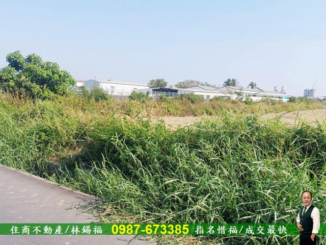 台南永康農地-5