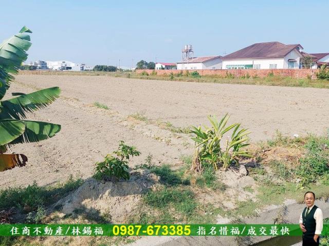 台南永康農地-6