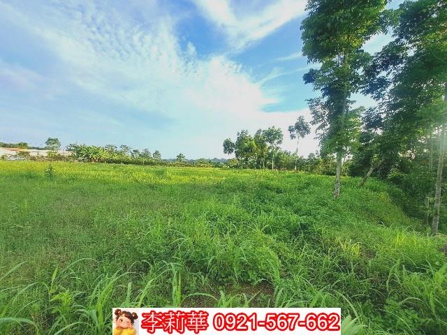 左鎮農地-10