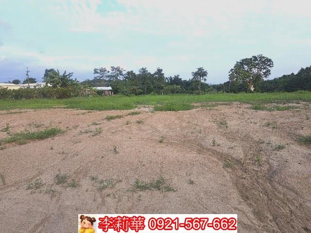 左鎮農地-8