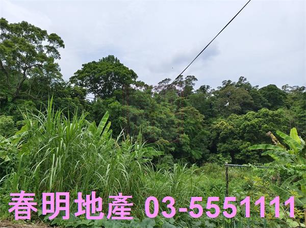 新竹橫山農地-7