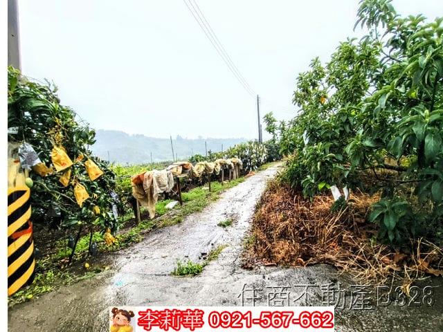 台南楠西農地-1