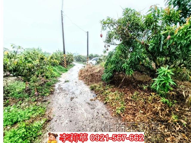 台南楠西農地-2