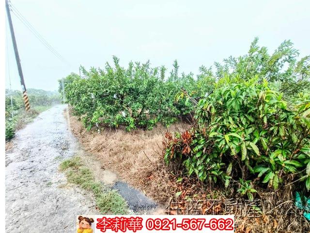 台南楠西農地-3