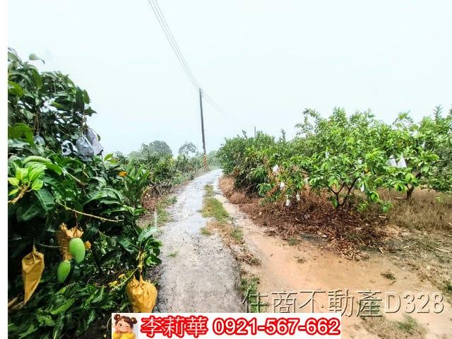 台南楠西農地-4