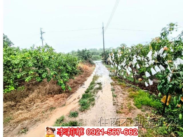 台南楠西農地-5