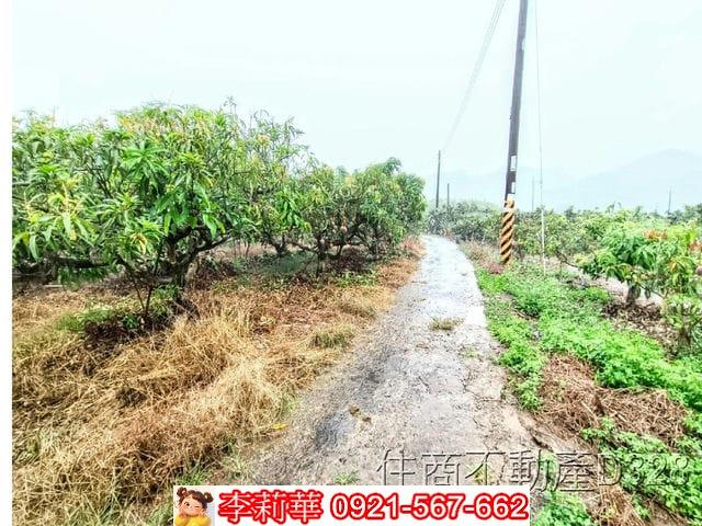 台南楠西農地-6