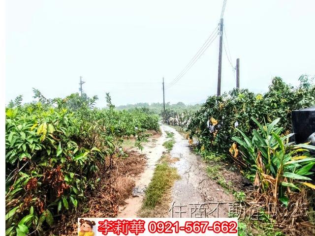 台南楠西農地-7