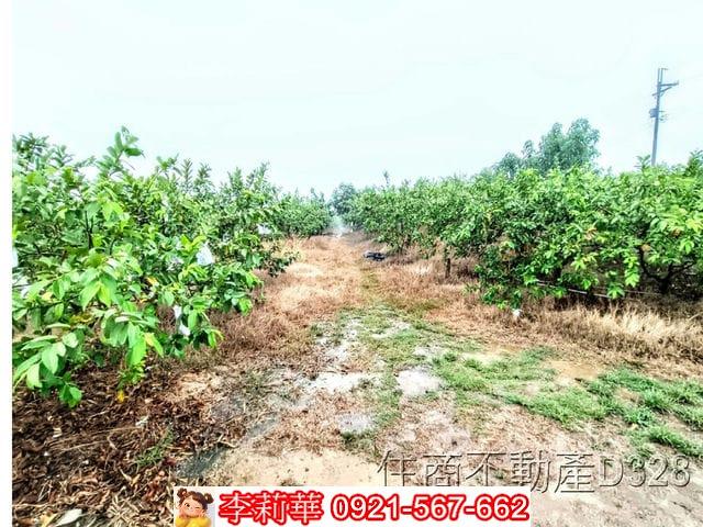 台南楠西農地-8