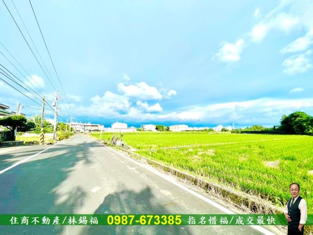 台南善化農地-1