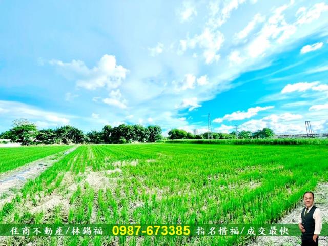 台南善化農地-2