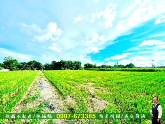 台南善化農地-3
