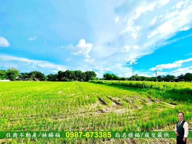 台南善化農地-4
