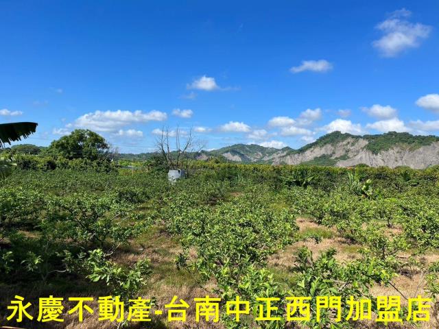 玉井農地-4