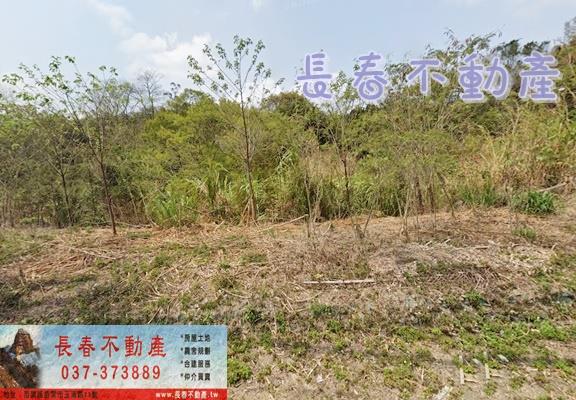 卓蘭橘香滿園602坪