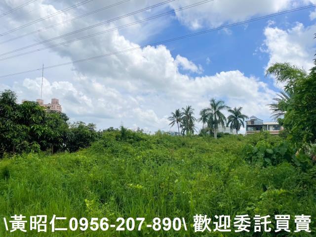 台南仁德農地-7