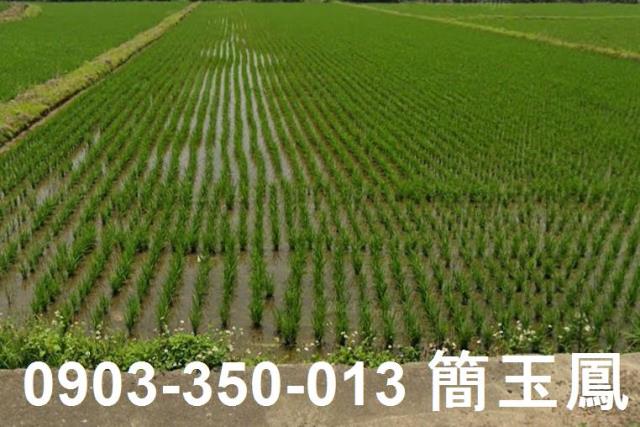 桃園中壢平鎮房屋土地廠房買賣