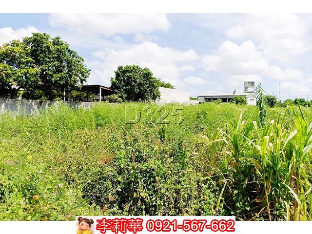 台南西港農地-9