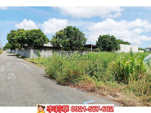 台南西港農地-1