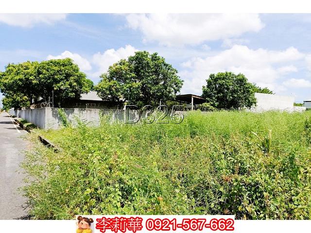 台南西港農地-3