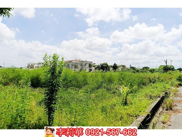 台南西港農地-5