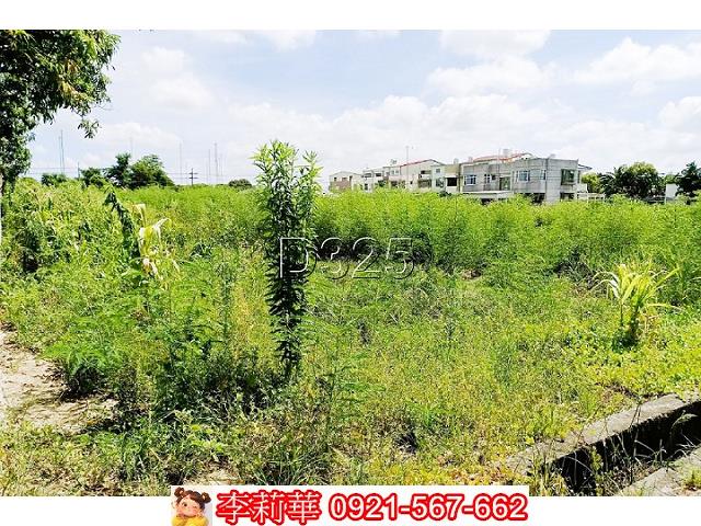 台南西港農地-6