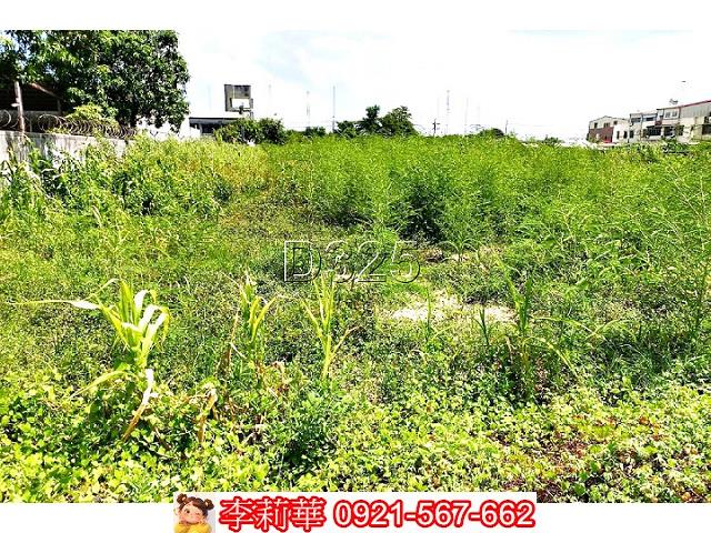 台南西港農地-7