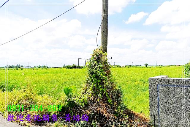 台南培倫房屋土地王