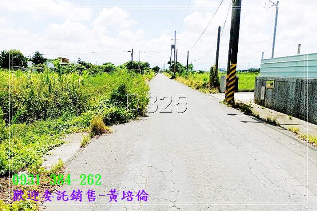 西港中州優質農地