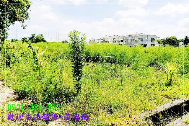 H。蝸牛居黃培倫