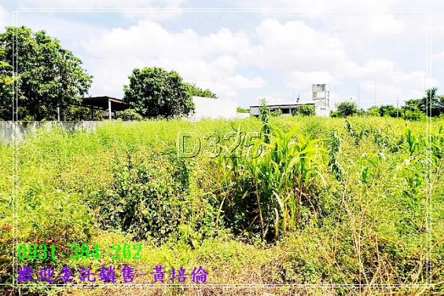 西港中州優質農地