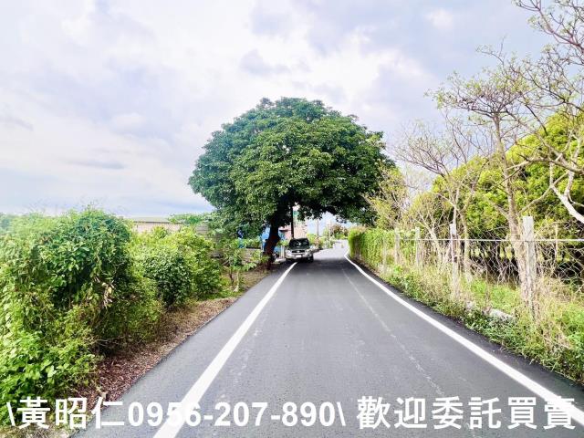台南六甲農地-2