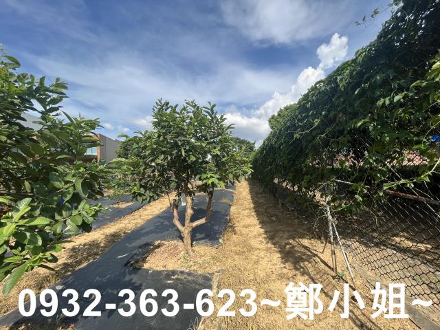 桃園八德農地-5