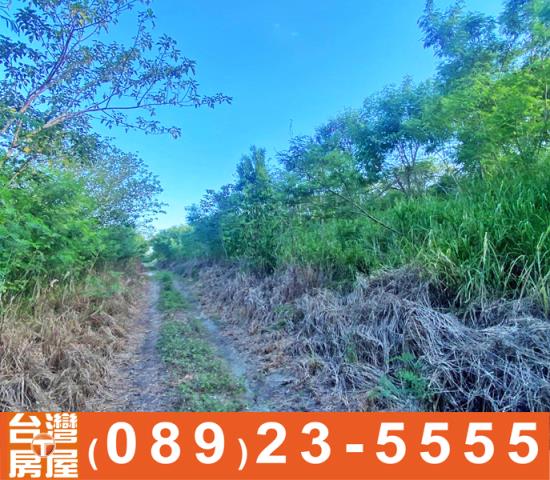 鑽石台東房地產買賣