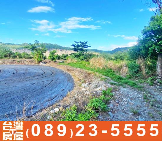 台東台東市農地-9