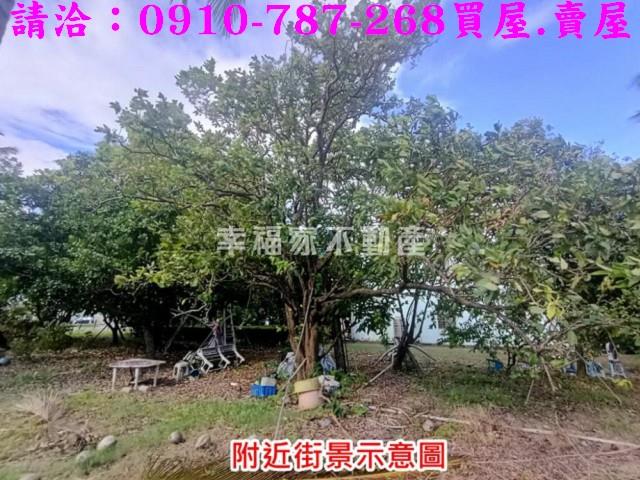 台南歸仁農地-10