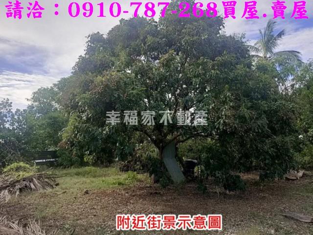 台南歸仁農地-11