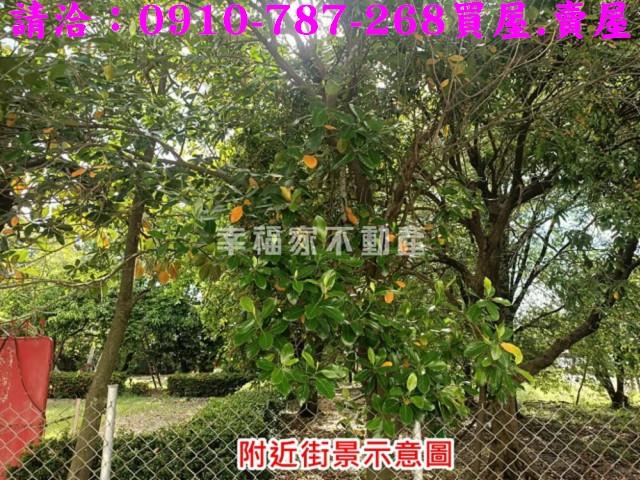 台南歸仁農地-12