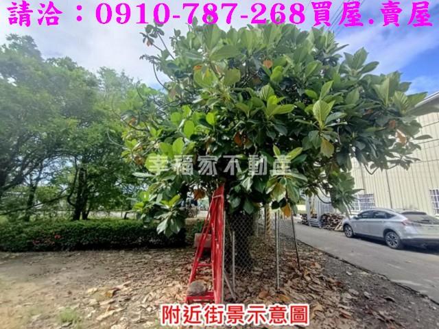 台南歸仁農地-2